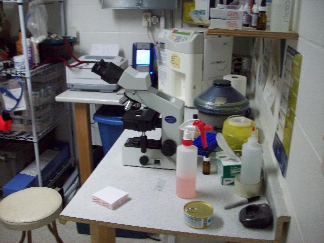 Laboratory