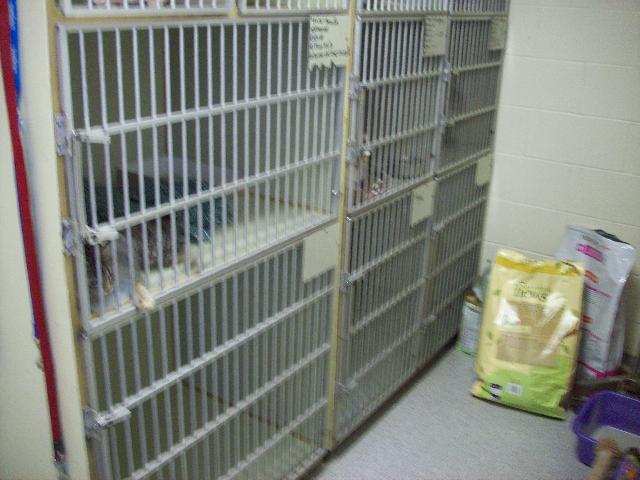 Kennel Room