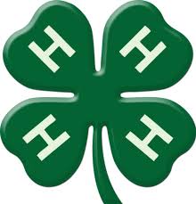 4H logo