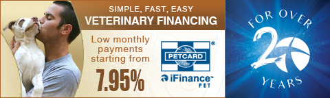 pet card ifinance banner