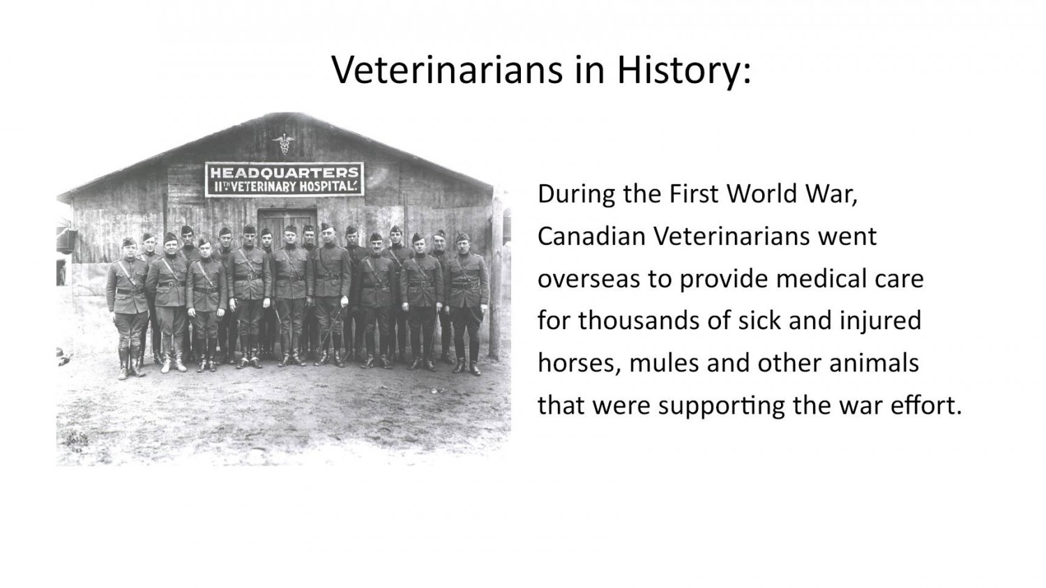veterinarians in History